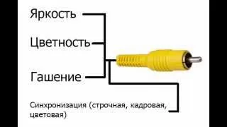 Что такое композитный и компонентный разъем (кабель, шнур, вход, выход)