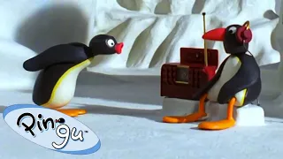 Pingu Learns Music! 🐧 | Pingu - Official Channel | Cartoons For Kids