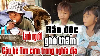 Lạnh người "RẮN ĐỘC " vào tận nơi hỏi thăm Cậu bé tìm cơm trong nghĩa địa