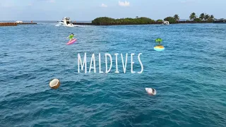 Plumeria Maldives/ 🇲🇻 tropical VLOG 🥥