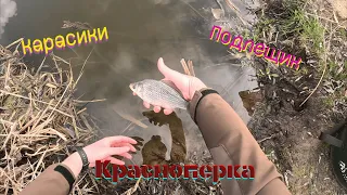 Неожиданный результат в холодную погоду