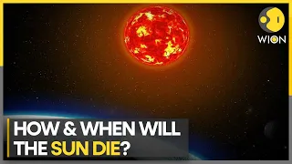 First glimpse of Earth's likely end | A star devours a planet | WION Pulse