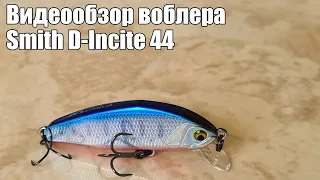 Видеообзор воблера Smith D-Incite 44 с Fmagazin