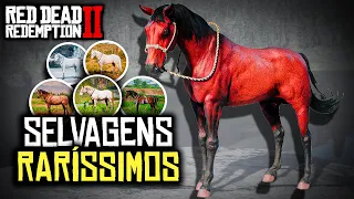 VISITEI 6 LOCAIS DE CAVALOS RAROS - RED DEAD REDEMPTION 2