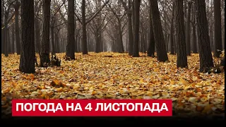 🍂 Погода на 4 листопада: лагідна тепла осінь ще не відходить!