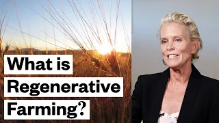 What is Regenerative Farming? (At the Epicenter)  | Thrive Market
