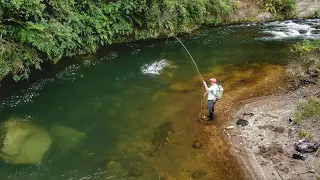 You won't Believe How Good This River is. Big Trout Everywhere! pt. 2