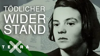 Sophie Scholl – so kämpfte sie gegen das NS-Regime