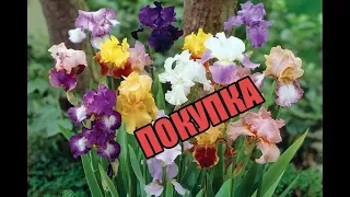 ALIEXPRESS  - ПОКУПКА НАБОРА ДЛЯ ВЫШИВКИ