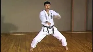 SKIF Tekki Shodan