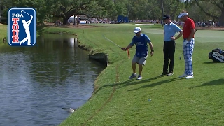 Ian Poulter's reptile rendezvous at RBC Heritage