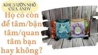 Chọn 1 tụ bài Tarot - Họ có còn để tâm/bận tâm/quan tâm đến bạn không - Alo Andy