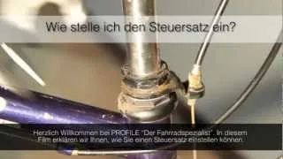 Steuersatz einstellen