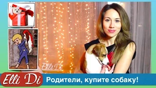 Как уговорить родителей купить собаку. Как уговорить родителей завести собаку. Как купить собаку?