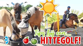 HITTEGOLF en PAARDEN; de belangrijkste tips! | felinehoi