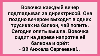 Вовочка Подглядывал за Директрисой в Трусиках! Сборник Свежих Смешных Жизненных Анекдотов!