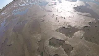 Walking the Wadden Sea, seen from the air