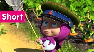 Masha and The Bear - No trespassing (I'm right now in a army!)