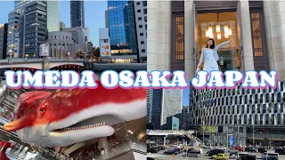 Osaka Thành Phố Lớn Nổi Tiếng Bật Nhất Của Nhật Bản Phát Triển Như Thế Nào!-Cuộc Sống Ở Nhật