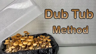 How to Grow Mushrooms: Dub Tub Method