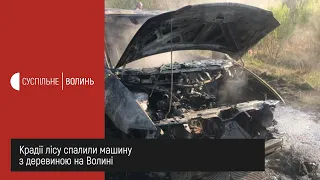 Крадії лісу спалили машину з деревиною на Волині