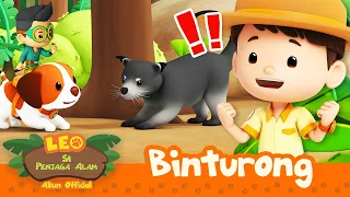 Hewan ini baunya seperti POPCORN?! 🍿 | Binturong | Leo Si Penjaga Alam | #minisode