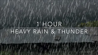 Sleeping Rain Sounds - Heavy Rain & Thunder - 1 Hour Rain - ASMR Sleep