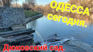 Дюковский парк Одесса. Прогулки по Одессе. Первый парк Одессы. Балковская река. Молдованка. #зоотроп