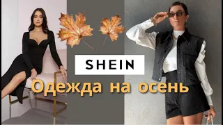 Покупки БЮДЖЕТНОЙ ОДЕЖДЫ на с SHEIN с примеркой