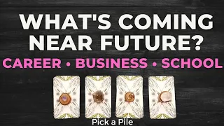 What's next? Business, Career, Money in NEAR FUTURE, Pick a Card Tarot Reading - money, work, job