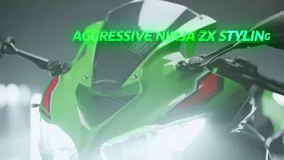 2024 Ninja ZX-4RR