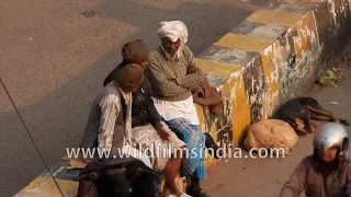 Loyal creatures sleeping on roads and watching our neighbourhoods : Stray dogs