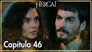 Hercai - Capítulo 46