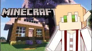 The Return To Minecraft