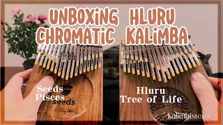 【Unboxing Hluru 34-key kalimba】« Promise of the World » & « If » (Bread) – comparison with Seeds