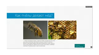 Создание электронного учебника в Sway из pdf и word