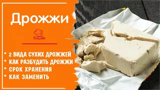 ДРОЖЖИ: хлебопекарные прессованные и сухие, как применять, как хранить, как работать с дрожжами