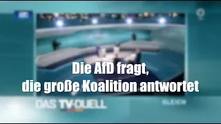 Der AfD-Fragen-Marathon im "TV-Duell" | Übermedien.de