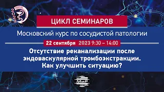 Гуцалюк Алексей ГеоргиевичРазборы клинических случаев из практики стационаров Инсультной сети Москвы