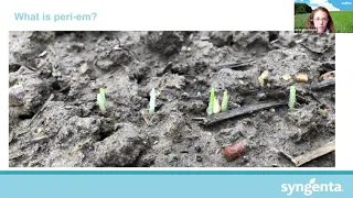 Black-grass Webinar