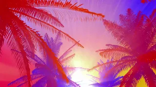 1 Hour Visual In Full HD / Tropical Sunset Background Loop