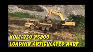Komatsu pc800 Loading Articulated dump truck A40F