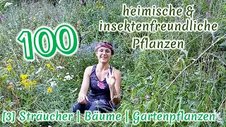 100 heimische & insektenfreundliche Pflanzen [3/4]: Pflanzen- und Standortkunde + Bestäuber-Wissen