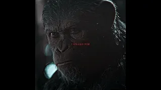 "You Are Not Ape" | Caesar Edit | Planet of the Apes | skyfall beats - apogee (slowed) #shorts