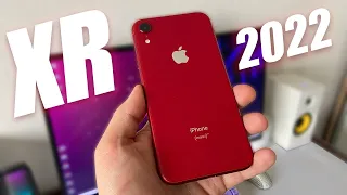 iPhone XR у 2022. Чи варто купувати?