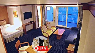 【Japan Luxury Overnight Ferry】$718 room/21-hour/Stay in the most luxurious suite/Yokosuka to Moji