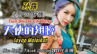 孙露 - 天使的翅膀 (DJPad仔版) Tian Shi De Chi Bang《Sayap Malaikat》Hot Remix Tiktok Douyin 2022抖音版 Translated