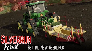 Setting New Seedlings | Silverrun Forest | Farming Simulator 22 Platinum Expansion | Episode 12