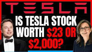 Tesla's Future: Experts Predict TSLA Stock Is Either Worth $2,000 or $23! [Analysis]