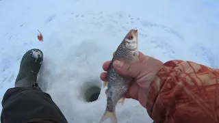 Зимняя рыбалка 2021 в феврале.Ловля плотвы на мормышку.